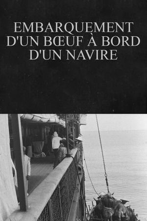 Embarquement d'un bœuf à bord d'un navire's poster