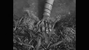 FROGGER, LA CREATURE DU LAC's poster