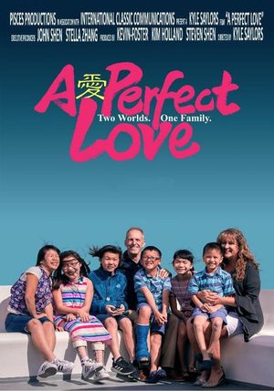 A Perfect Love's poster
