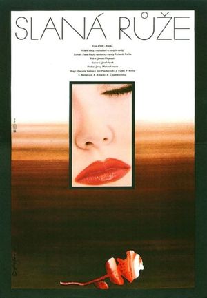Slona róza's poster