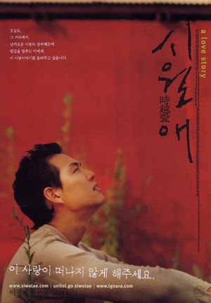 Il Mare's poster