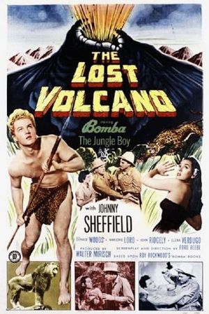The Lost Volcano's poster