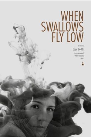 When Swallows Fly Low's poster