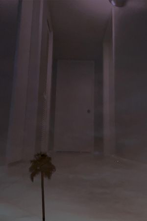 Last Night's Dream's poster