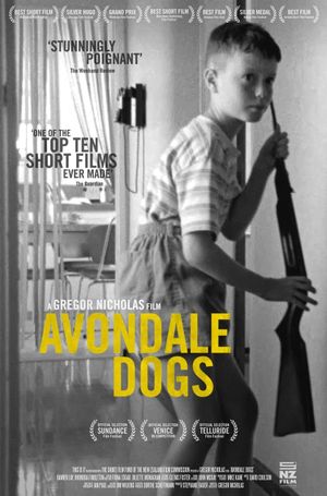Avondale Dogs's poster