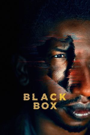 Black Box's poster