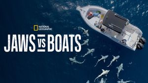 Jaws vs. Boats's poster