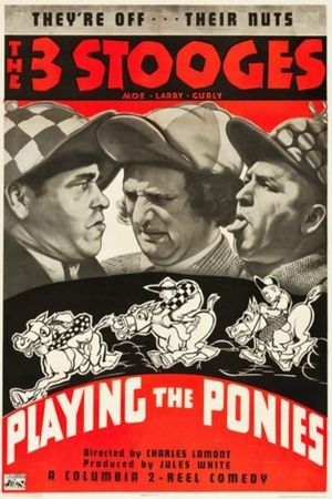 Playing the Ponies's poster