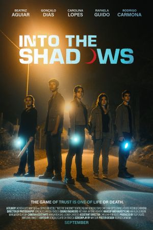 Into the Shadows's poster