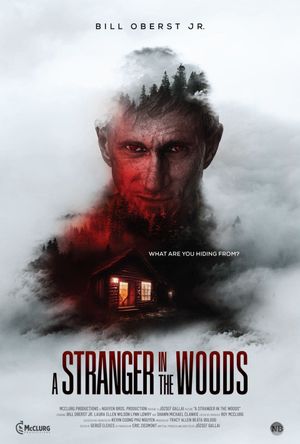 A Stranger in the Woods's poster