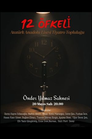 12 Kızgın's poster