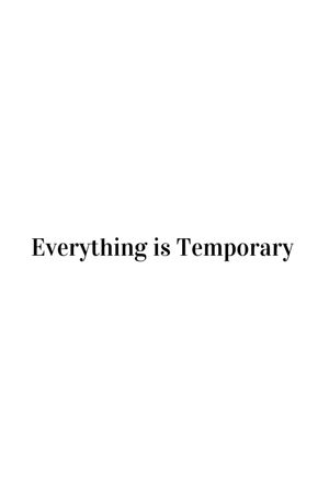 Everything is Temporary's poster