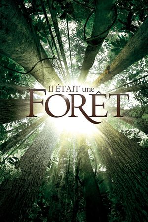 Il était une forêt's poster