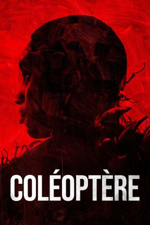 Coleoptere's poster