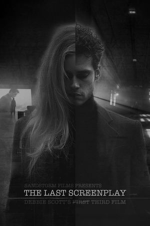 The (first) Last Screenplay's poster image