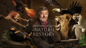 Fantastic Beasts: A Natural History's poster