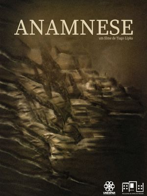 Anamnesis's poster