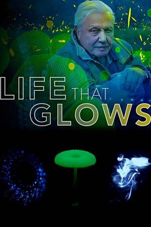Attenborough's Life That Glows's poster