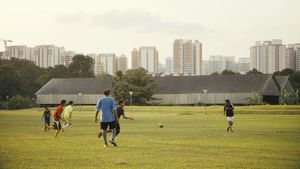 Homeground's poster