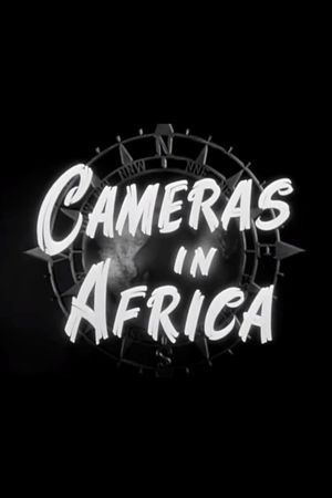 Cameras in Africa/Beaver Valley's poster