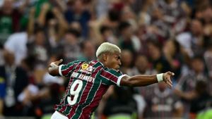 Todo Dia É 4 de Novembro: O Fluminense Conquista a América's poster