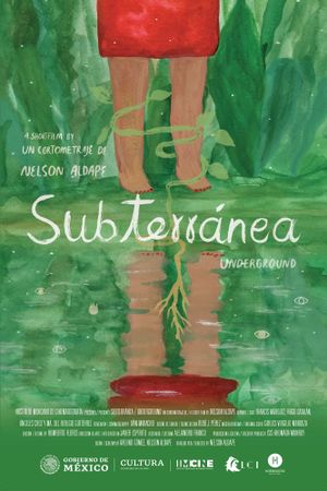 Subterránea's poster