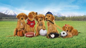 Air Buddies's poster
