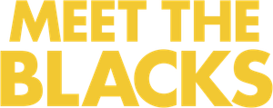 Meet the Blacks's poster