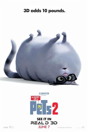 The Secret Life of Pets 2's poster