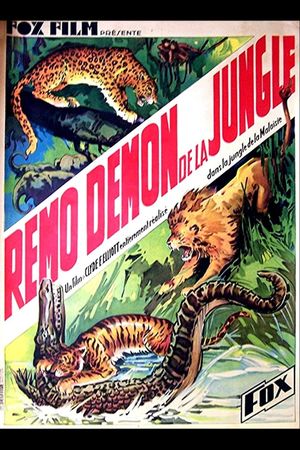 The Devil Tiger's poster