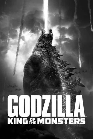 Godzilla: King of the Monsters's poster