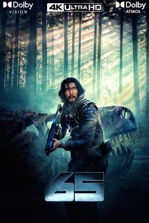 65's poster