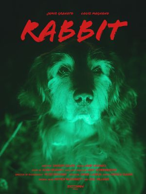 Rabbit's poster