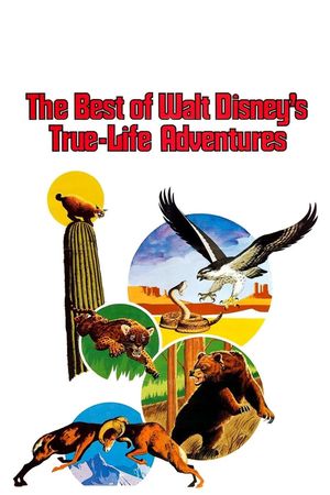 The Best of Walt Disney's True-Life Adventures's poster