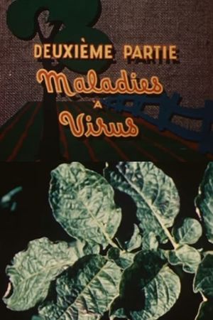 The Enemies of the Potato: Virus Diseases's poster