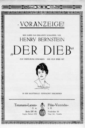 Der Dieb's poster