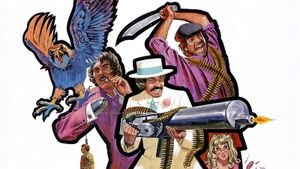 Compañeros's poster