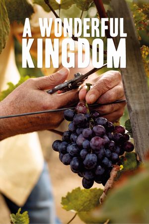 A Wonderful Kingdom's poster image