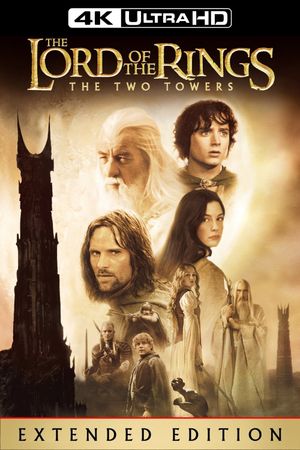 The Lord of the Rings: The Two Towers's poster