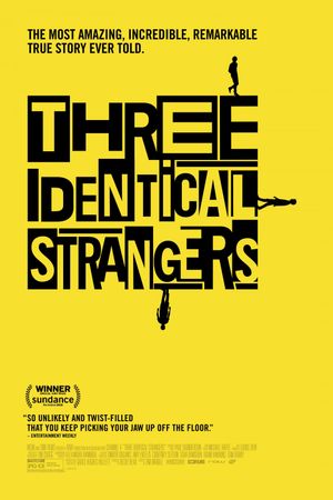 Three Identical Strangers's poster