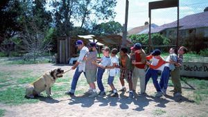 The Sandlot's poster