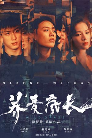 Wild Grass's poster