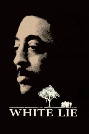 White Lie's poster