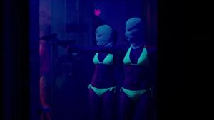Spring Breakers's poster