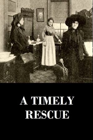 A Timely Rescue's poster