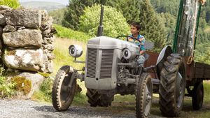 Little Grey Fergie Saves the Farm's poster