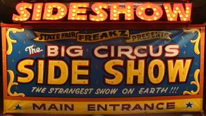 Sideshow: Alive on the Inside's poster