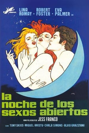 Night of Open Sex's poster