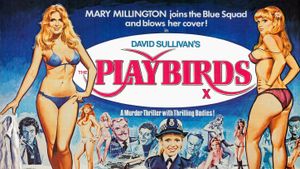 The Playbirds's poster