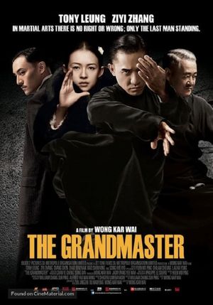 The Grandmaster's poster